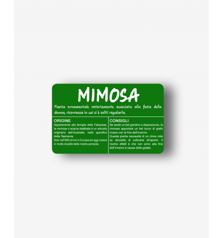 Colored Background Tag