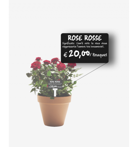 Horizontal black tag with plant