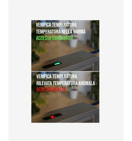 Termocamera ERM-DF108 con controllo accessi